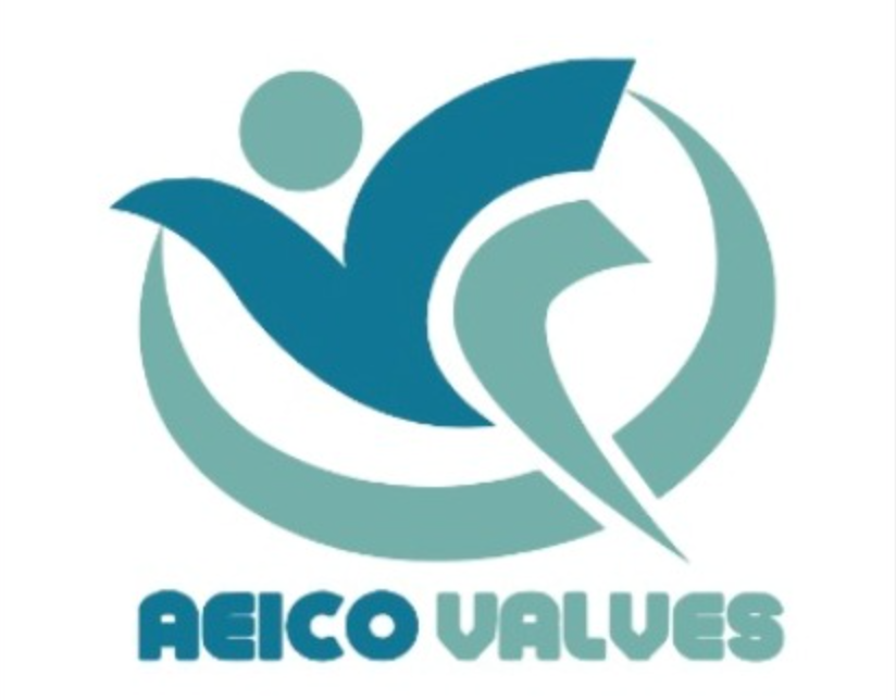 AEICO Valves